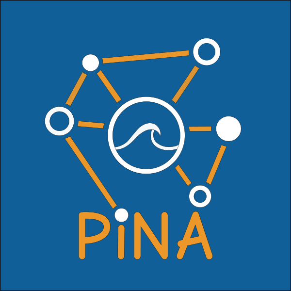 Physics-Informed Neural networks for Advanced modeling